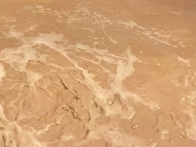 印染廠(chǎng)考察圖